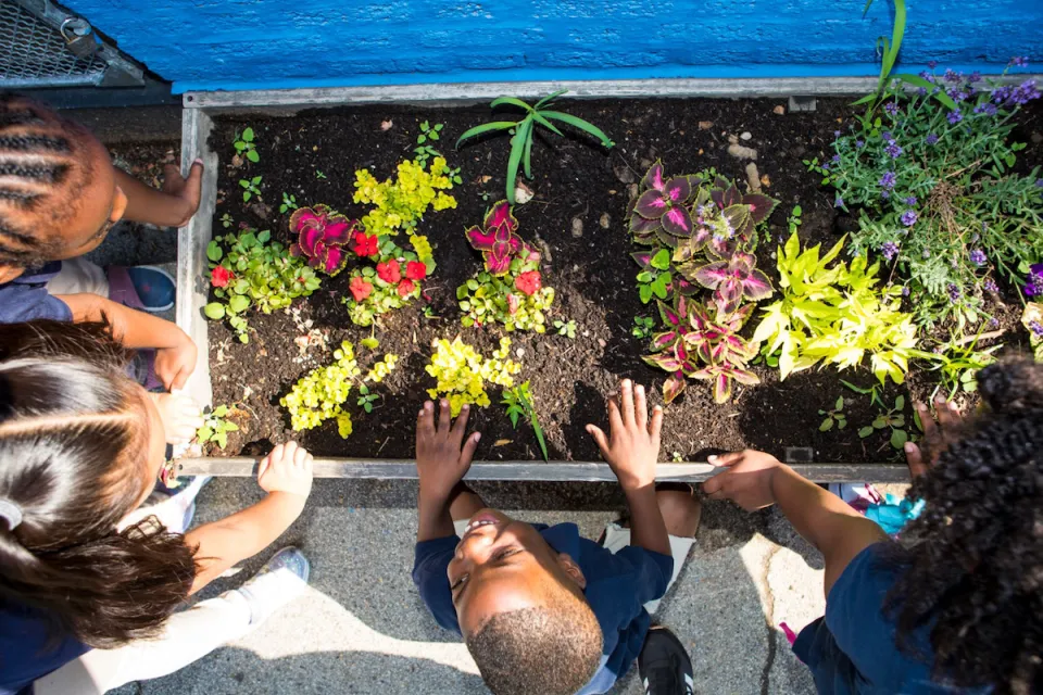 Overhead view of young children looking at plants growing in raised planter box.
